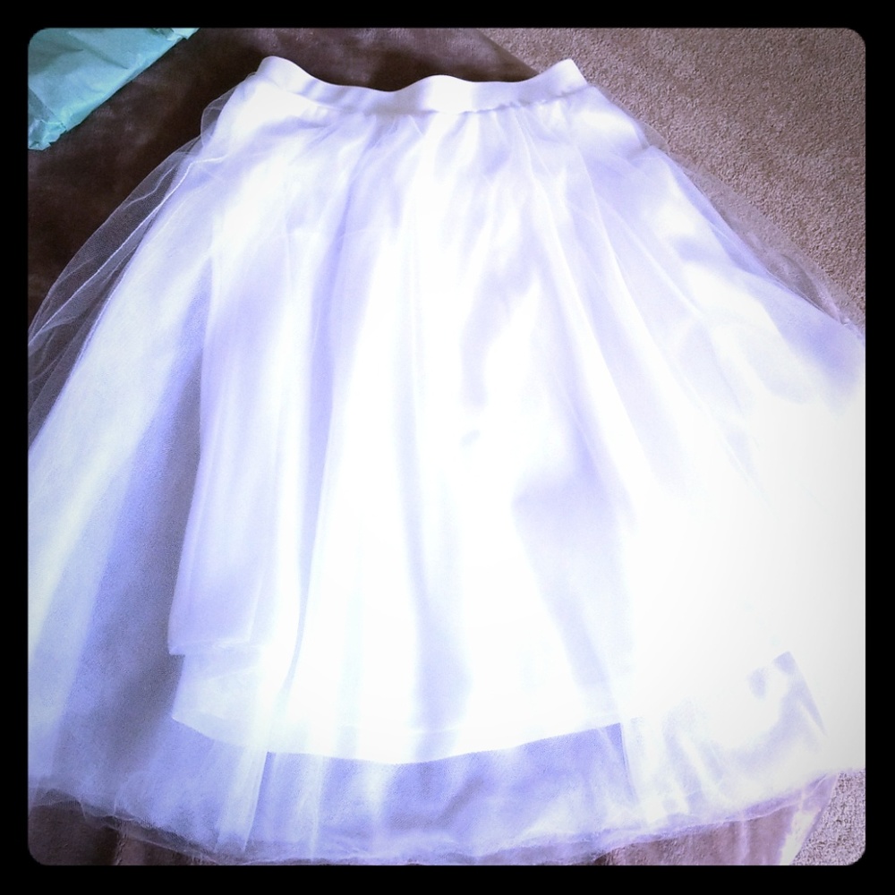Tulle Skirt